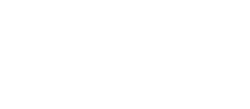 Wayflyer logo